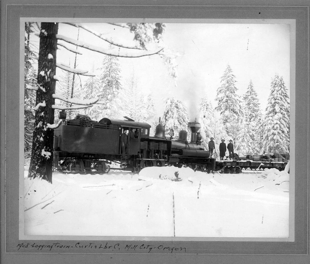 Curtis Lumber Company Train