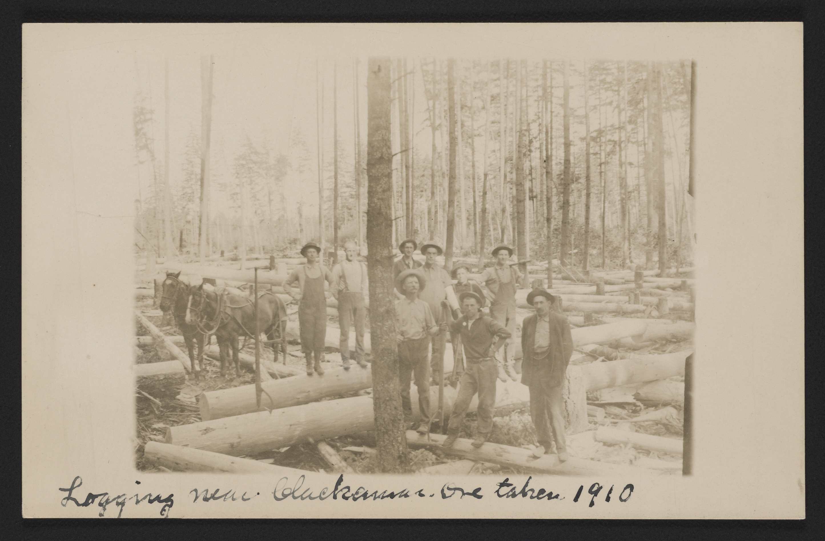 Logging Near Clackamas