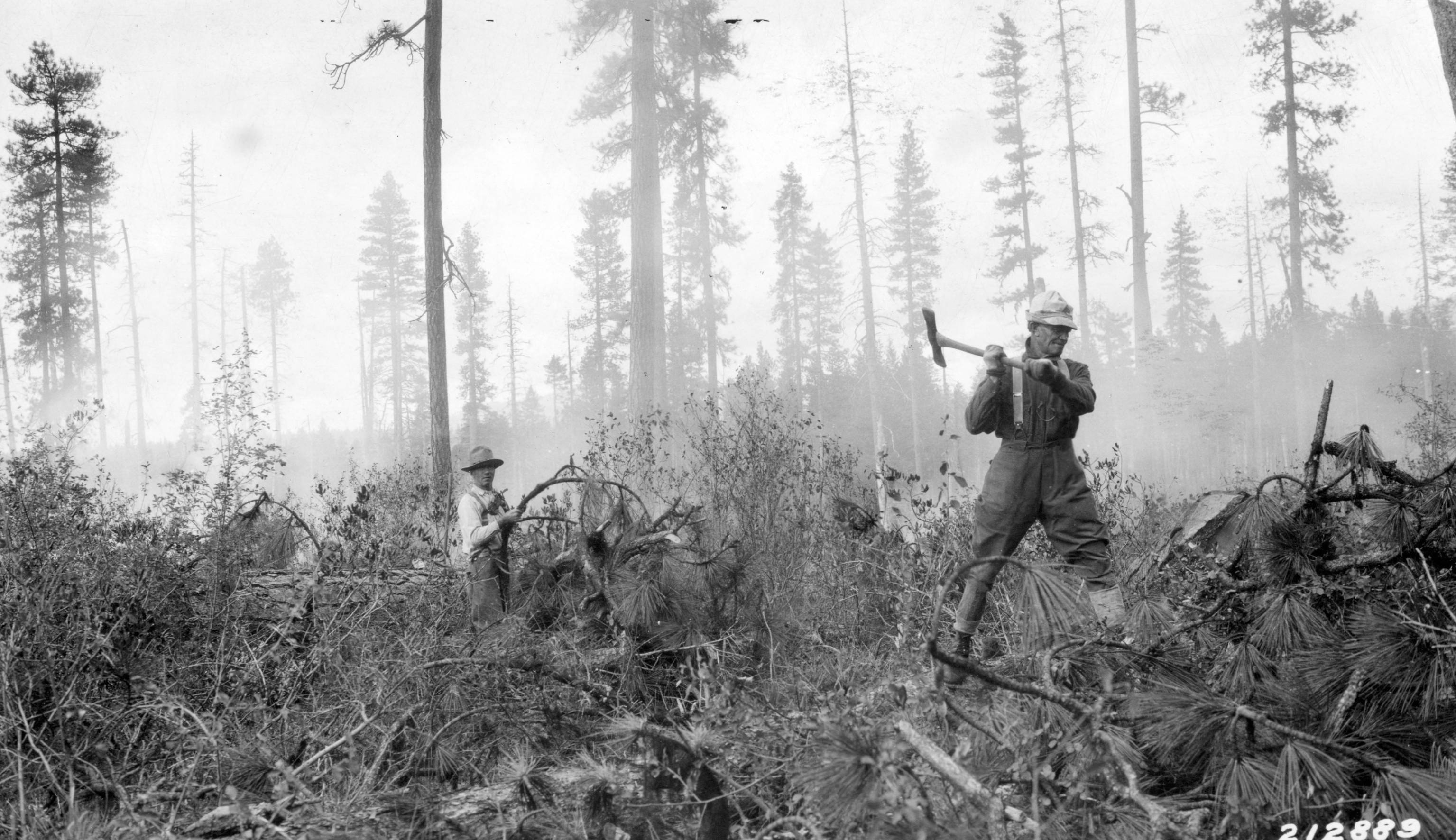 Piling and burning slash