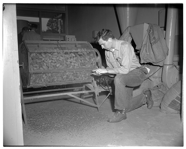 Working with Seed Separation Equipment Img. 2