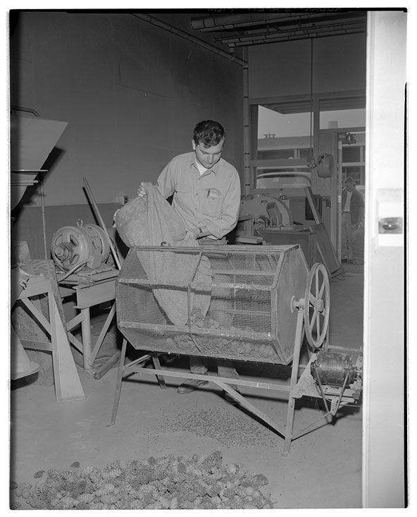 Working with Seed Separation Equipment Img. 3