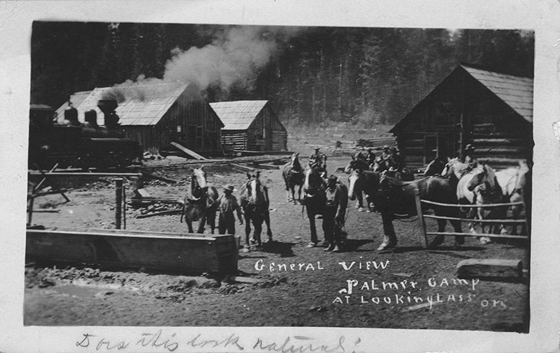 Palmer Camp at Lookingglass, Oregon