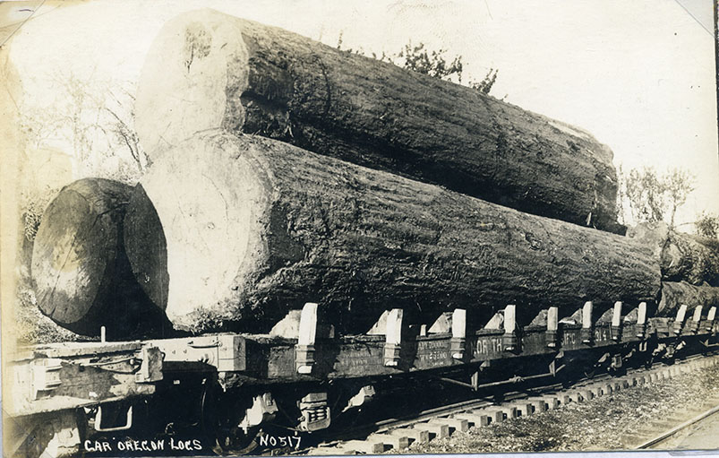 Postcard: Logs on a railroad car